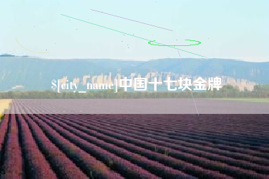 枣庄中国十七块金牌