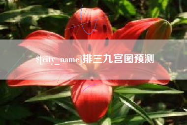枣庄排三九宫图预测