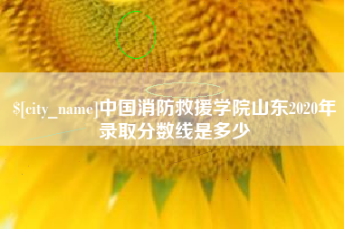 枣庄中国消防救援学院山东2020年录取分数线是多少