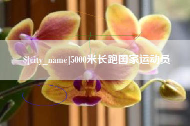 枣庄5000米长跑国家运动员