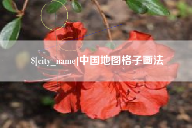 枣庄中国地图格子画法