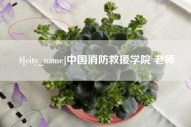枣庄中国消防救援学院 老师
