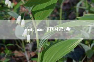 枣庄中国第9金