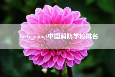 枣庄中国消防学校排名