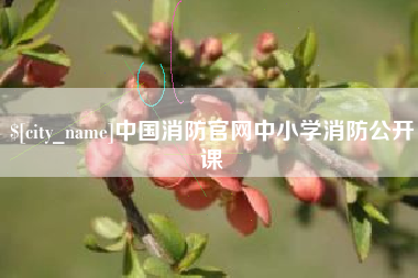 枣庄中国消防官网中小学消防公开课