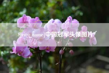 枣庄中国冠军头像图片