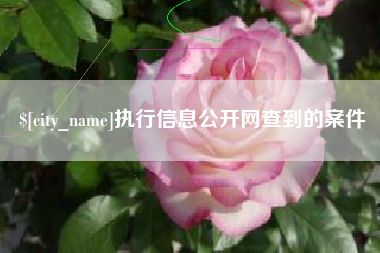 枣庄执行信息公开网查到的案件