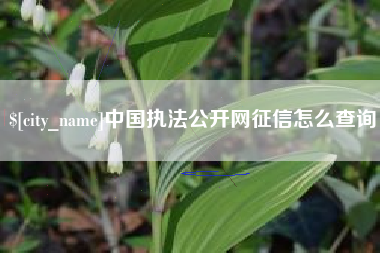 枣庄中国执法公开网征信怎么查询