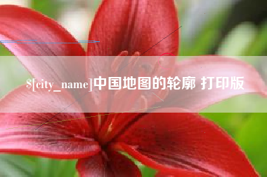 枣庄中国地图的轮廓 打印版