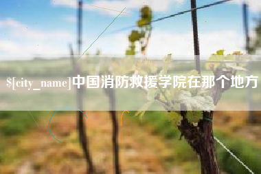枣庄中国消防救援学院在那个地方