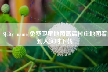 枣庄免费卫星地图高清村庄地图看到人实时下载