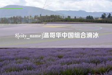 枣庄温哥华中国组合滑冰