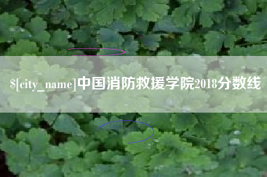 枣庄中国消防救援学院2018分数线