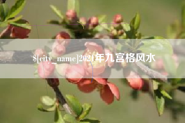 枣庄2021年九宫格风水