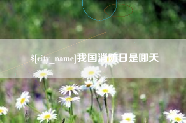 枣庄我国消防日是哪天