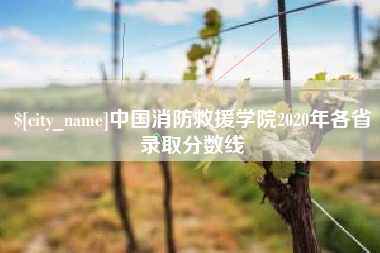 枣庄中国消防救援学院2020年各省录取分数线