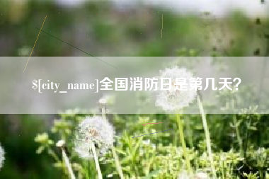 枣庄全国消防日是第几天？