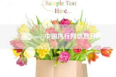 枣庄中国执行网信息官网