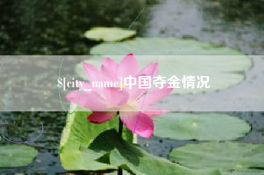 枣庄中国夺金情况