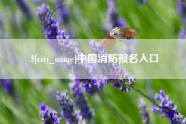 枣庄中国消防报名入口