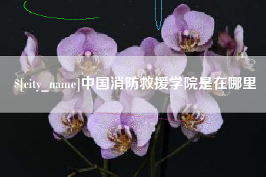 枣庄中国消防救援学院是在哪里