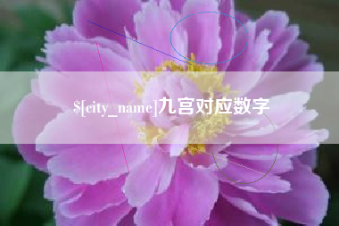 枣庄九宫对应数字