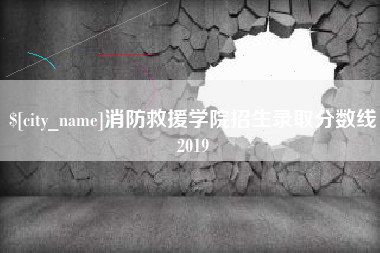 枣庄消防救援学院招生录取分数线2019