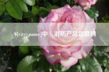 枣庄中囯消防产品信息网