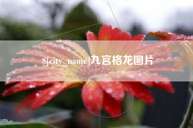 枣庄九宫格龙图片