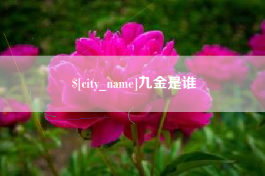 枣庄九金是谁