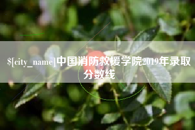 枣庄中国消防救援学院2019年录取分数线