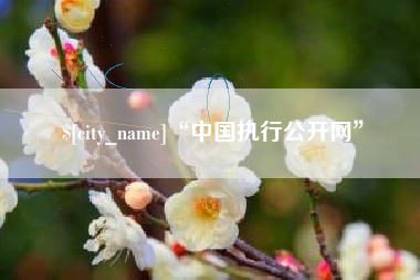 枣庄“中国执行公开网”