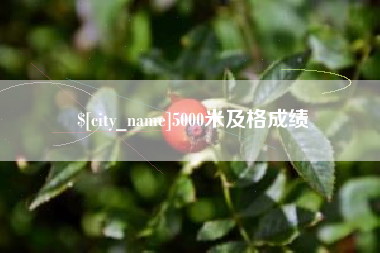 枣庄5000米及格成绩
