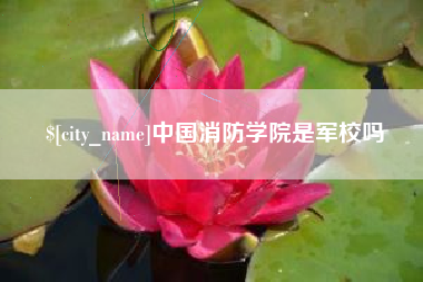 枣庄中国消防学院是军校吗