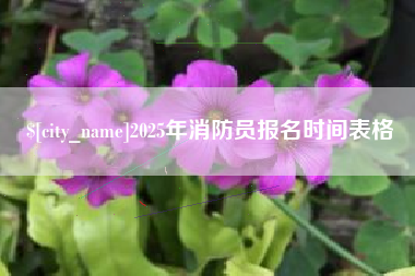 枣庄2025年消防员报名时间表格