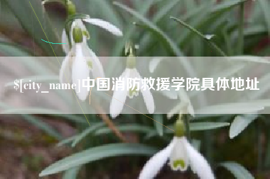 枣庄中国消防救援学院具体地址