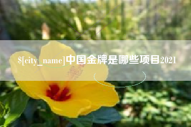 枣庄中国金牌是哪些项目2021