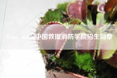 枣庄中国救援消防学院招生简章