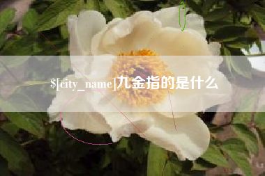 枣庄九金指的是什么