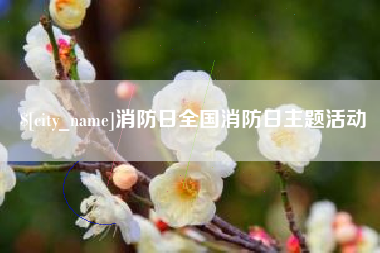 枣庄消防日全国消防日主题活动