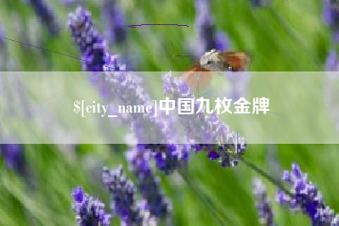 枣庄中国九枚金牌