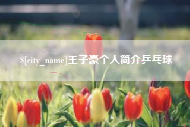枣庄王子豪个人简介乒乓球