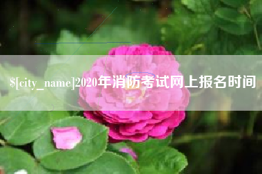 枣庄2020年消防考试网上报名时间