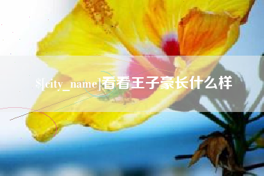 枣庄看看王子豪长什么样