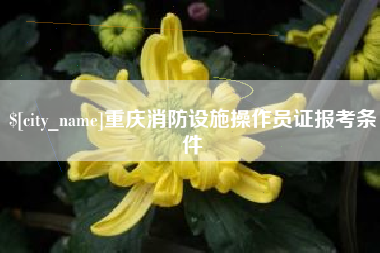 枣庄重庆消防设施操作员证报考条件
