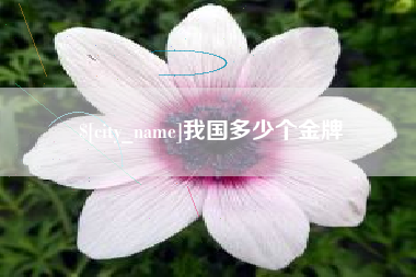 枣庄我国多少个金牌