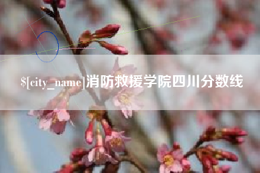 枣庄消防救援学院四川分数线