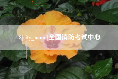 枣庄全国消防考试中心