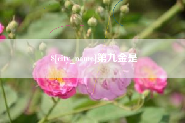 枣庄第九金是
