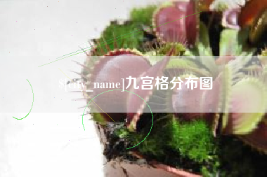 枣庄九宫格分布图